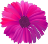 Smaller Pink And Purple Daisy Clip Art